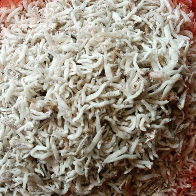 

Ikan Teri Tanjungbalai