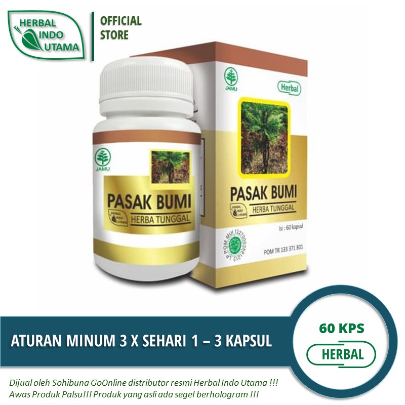 HIU-Pasak Bumi, Memelihara Stamina Pria, Lemah Syahwat, Ejakulasi Dini-1