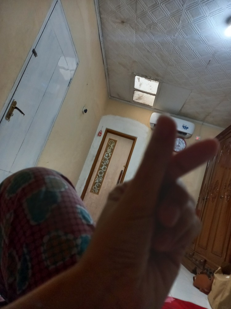 Pisau Buah Sayur Pisau Dapur Tajam Pemotong Makanan Pisau Serbaguna