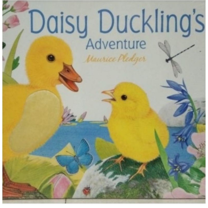 Import Book Children Book Board Book - Diasy Ducklings Adventure