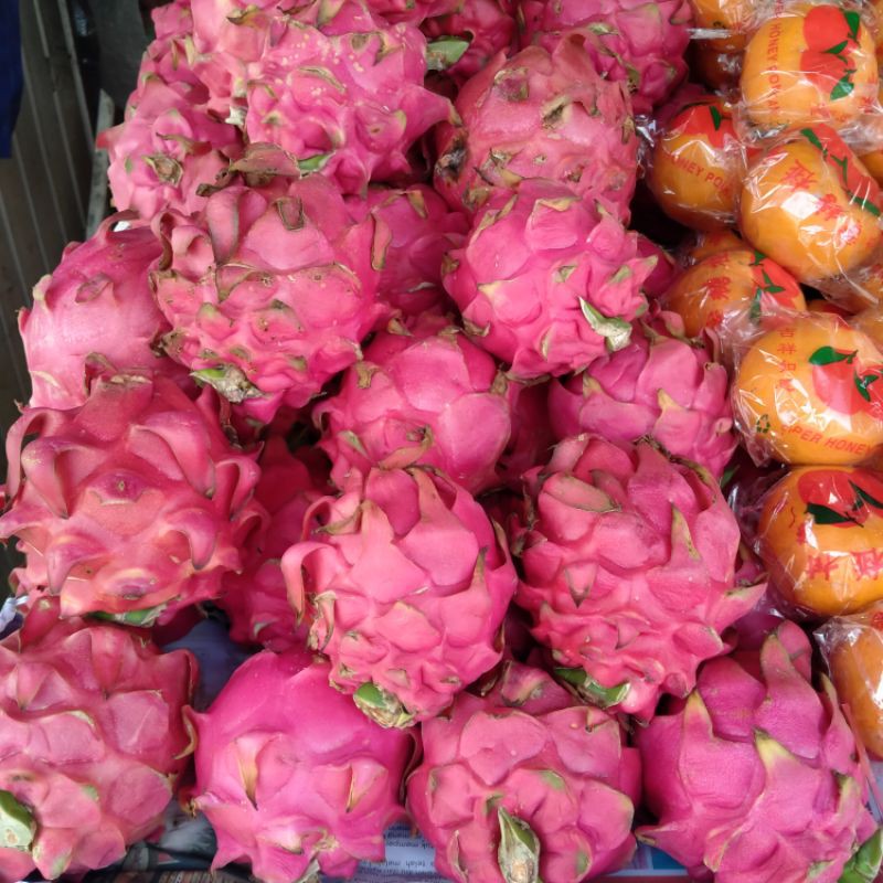 

buah naga merah manis