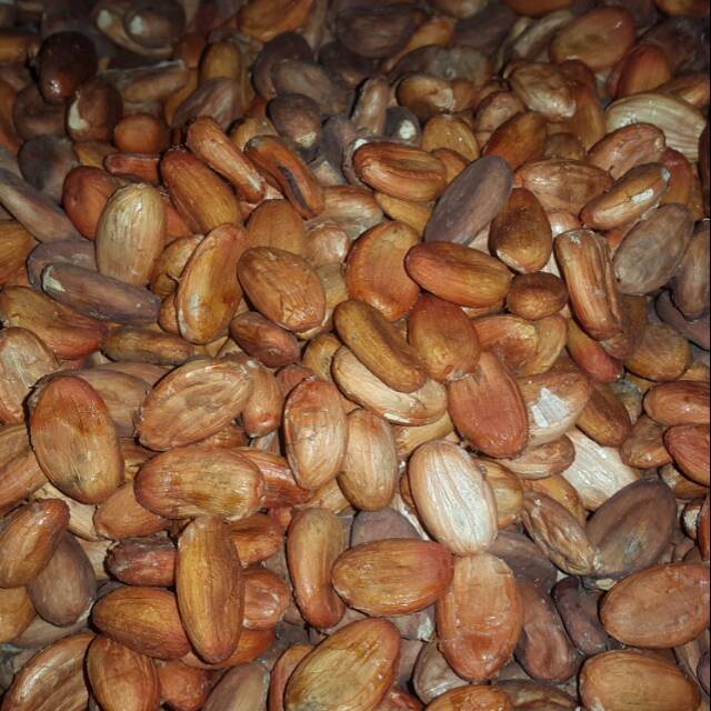 

Biji coklat/kakao 1 kg