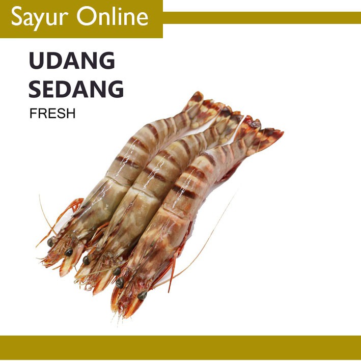 

[SayurOnline] UDANG FRSH UK. SEDANG [250g]