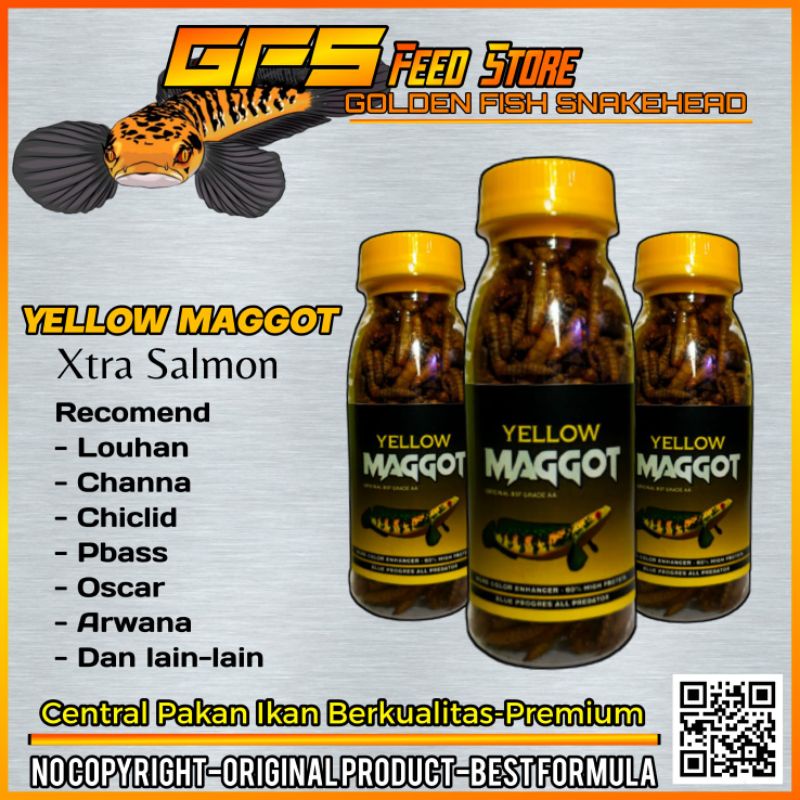 Yellow Maggot Pakan Channa Maru Kemasan Botol 100 ml