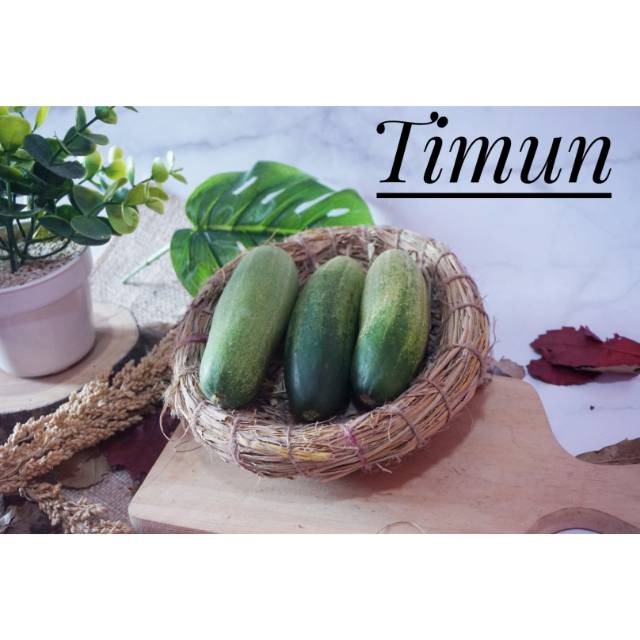 

Timun