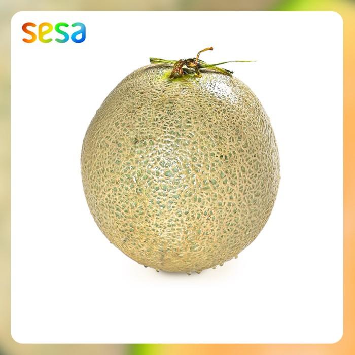 

Buah Melon Rock /pcs Best Seller