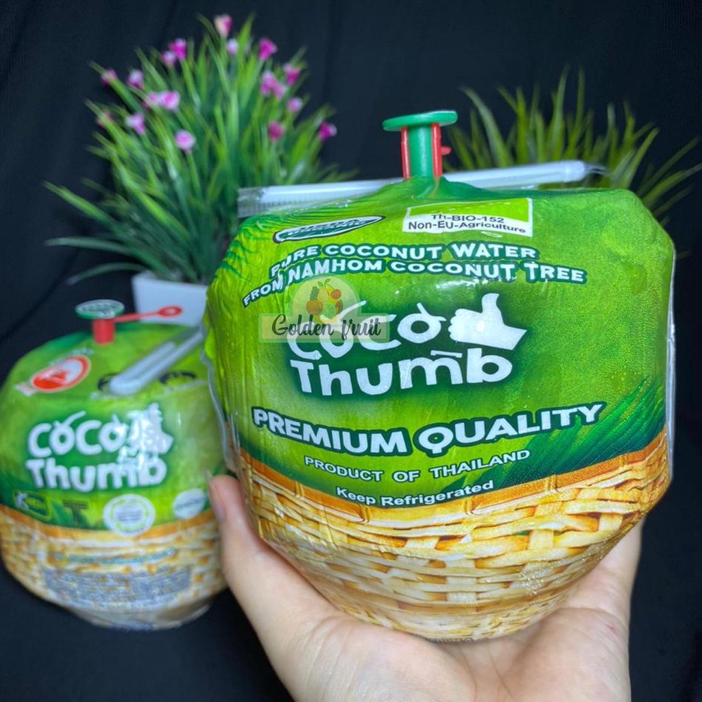 

GOLDENFRUIT_COCO THUMB/Kelapa muda Thailand
