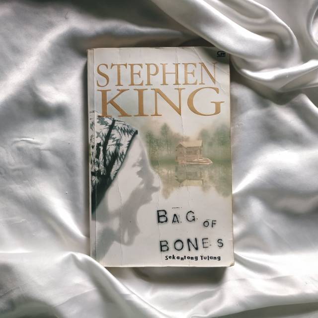 Bag of Bones by Stephen King.