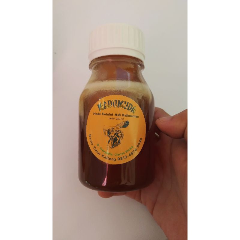 

MADUMUDA Madu Kelulut Klanceng Trigona Meliponini Asli Kalimantan 250 ml