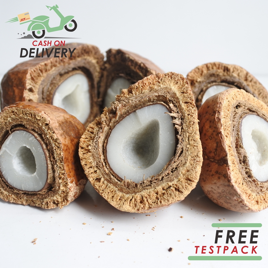 Buah Zuriat Mesir Belah 500gr / Doum Belah  Promil Asli Siap Konsumsi Original