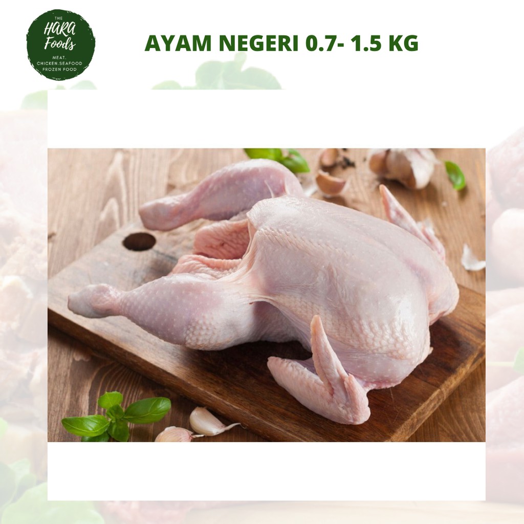 

Ayam Negri ukuran 1.9 - 2kg fresh