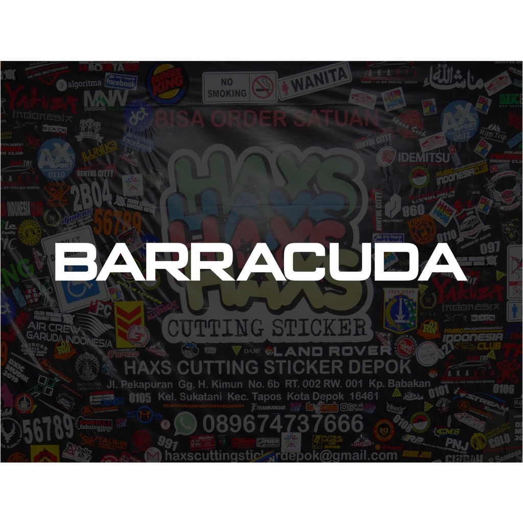 Cutting Sticker Barracuda Ukuran 35 cm