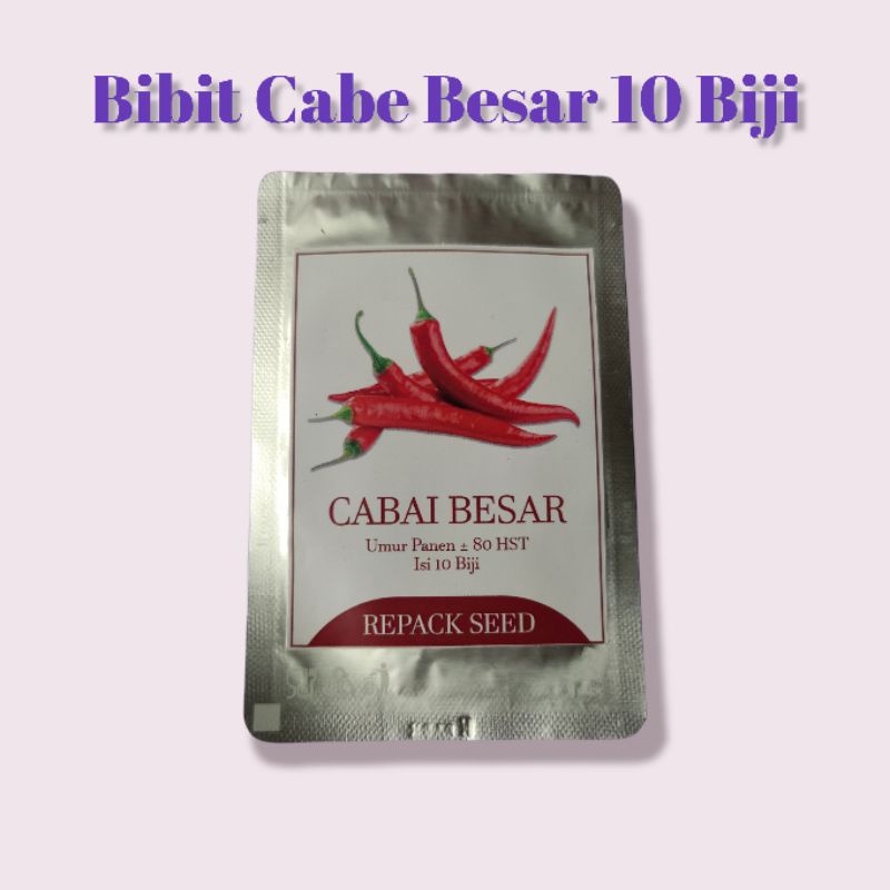 Bibit Cabe Merah Besar Kualitas Unggul Siap Tanam