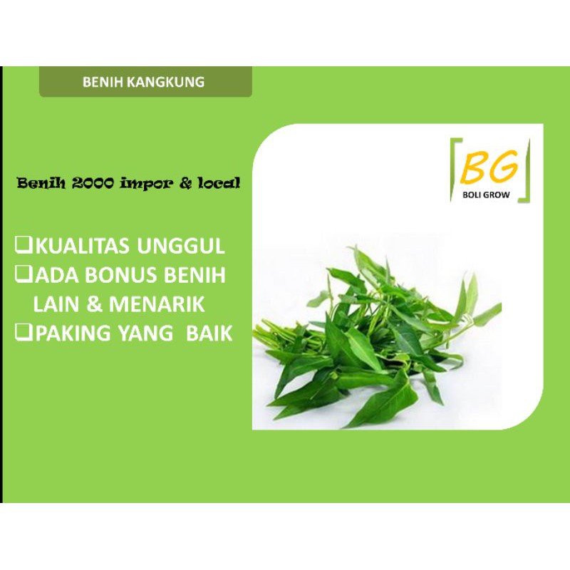 Benih 2000 Kangkung Kangkung Darat Kangkung Hibrida Benih Murah