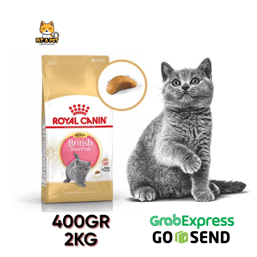 Royal Canin Kitten British Shorthair [400gr - 2Kg] - Makanan Kucing DRY FOOD