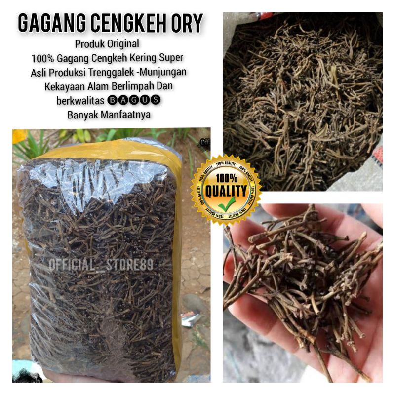 

GAGANG CENGKEH KERING SUPER 1 KG ASLI MURNI BELUM SULINGAN