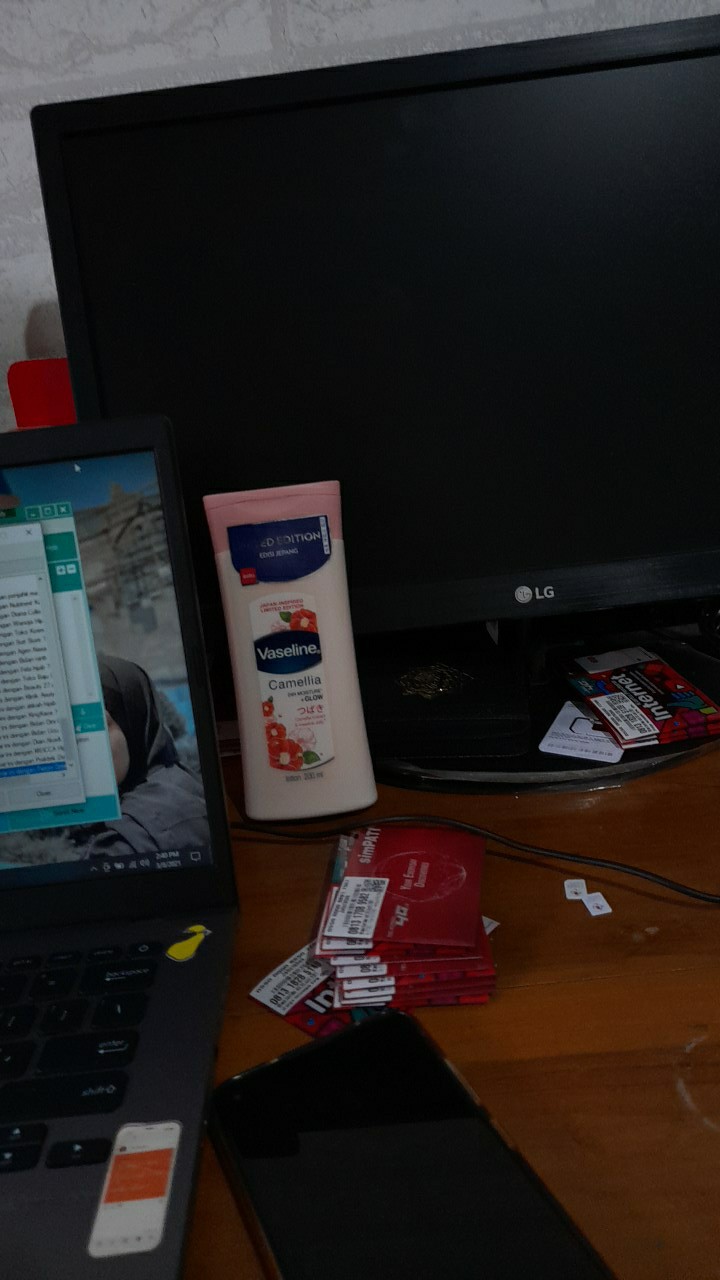 Kapur Barus / Kamper Barus Swallow 150g