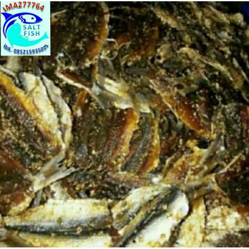 

Ikan asin Dendeng 500gr