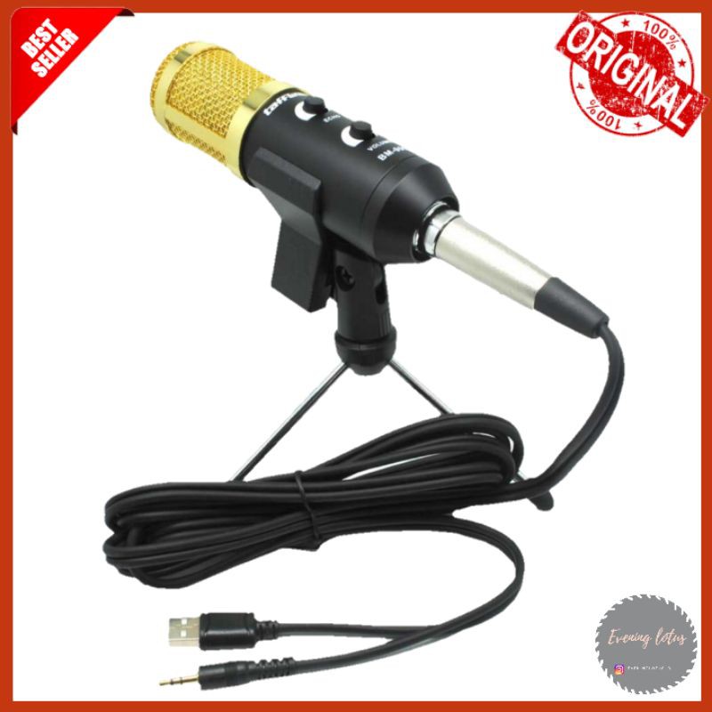 Microphone Mic BM-900 Professional Condenser Microphone BM 900