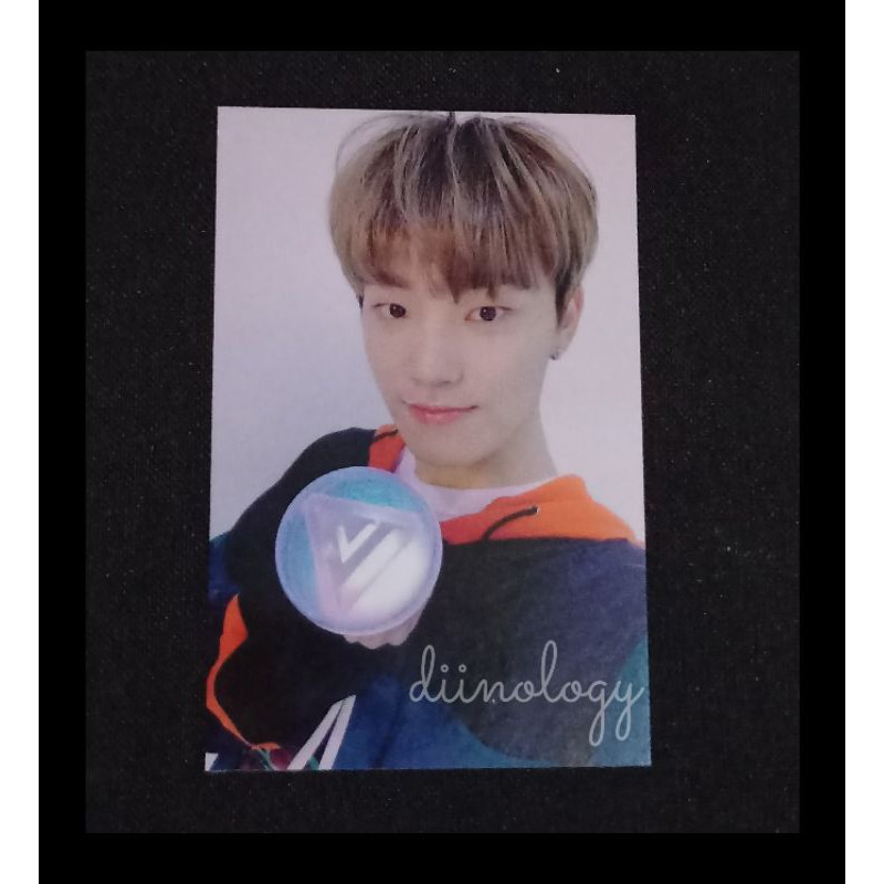 Dino Caratzone Caratbong