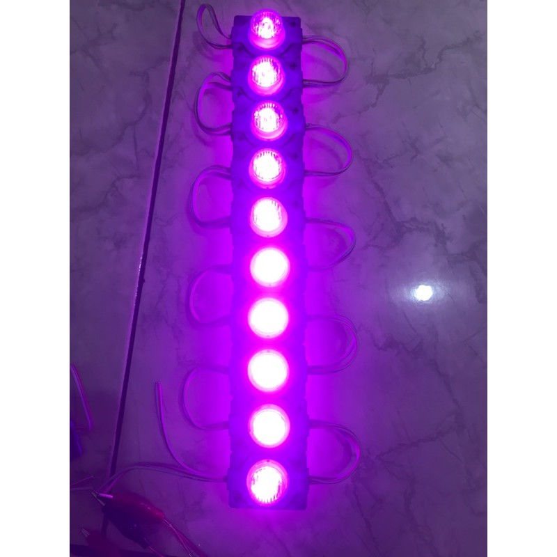 LED Variasi Modul 1 LED Mata Jumbo 12V