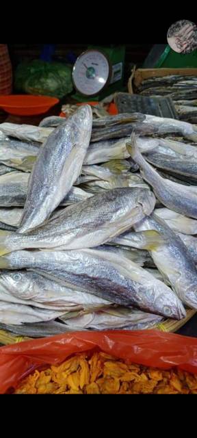 

Ikan asin gulamo, kepala batu 500gram