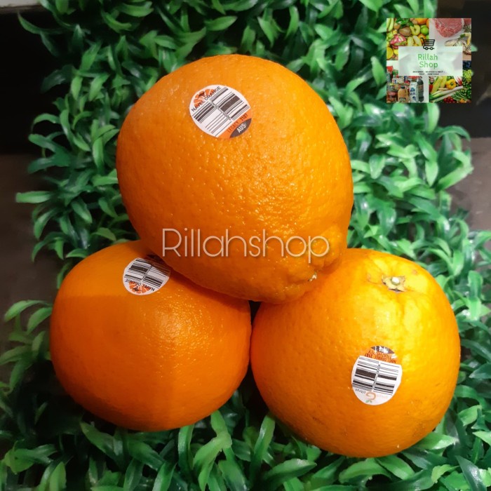 

Buah Jeruk Navel/Potong Australia Kg