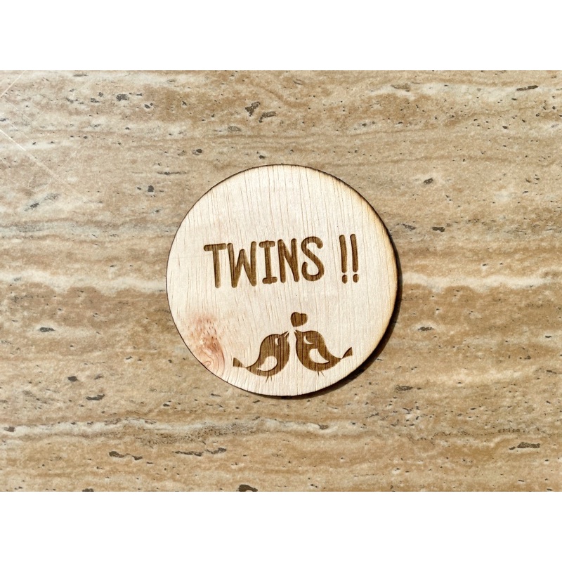 BABY TWINS WOODEN PLAQUE | PROPERTI FOTO BAYI