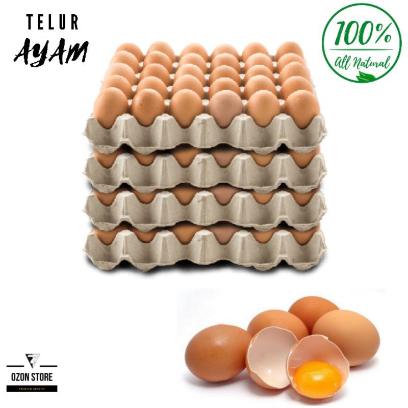 

Telur Ayam 1 kg Negeri Segar Grosir / telor fresh / KG (kurang lebih 15-17 butir) Free Bubble Wrap