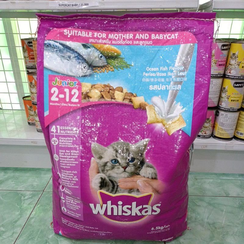 EKSPEDISI WHISKAS JUNIOR OCEAN FISH 6.5kg /Whiskas Dryfood / makanan anak kucing