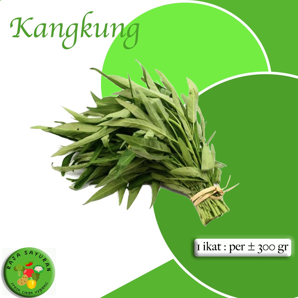

SAYURAN SEGAR KANGKUNG FRESH / KANGKUNG HIJAU HARGA PER IKAT MURAH - RAJA SAYURAN