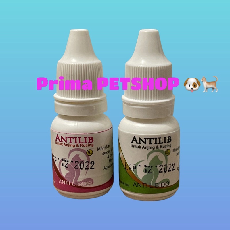 Antilib obat penurun birahi anjing dan kucing