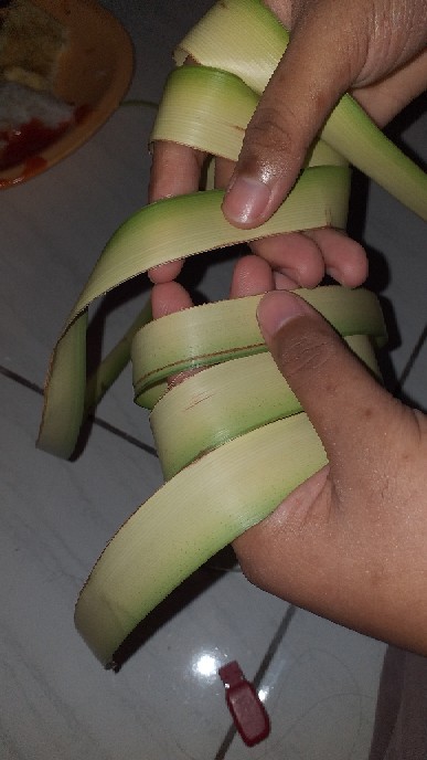 Janur Kelapa Muda Harga Perbiji