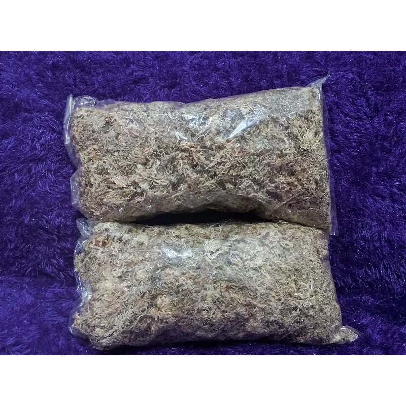 media tanam spagnum mos putih 100g.