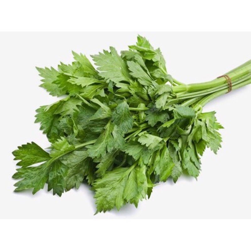 

SELEDRI SLEDRI FRESH SEGAR 100gr