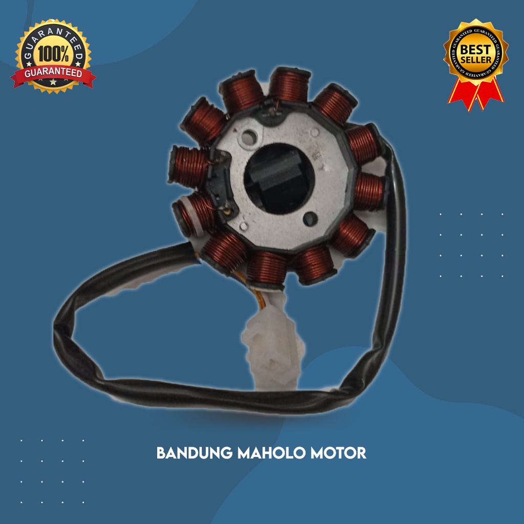 Sepul assy / sepul magnet+pulser. Beat, beat karbu/scoopy karbu