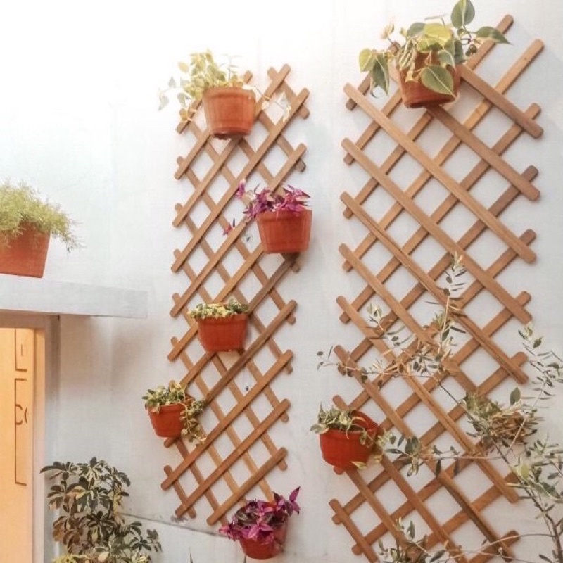 Tralis tanaman rambat pot bunga dinding hiasan taman