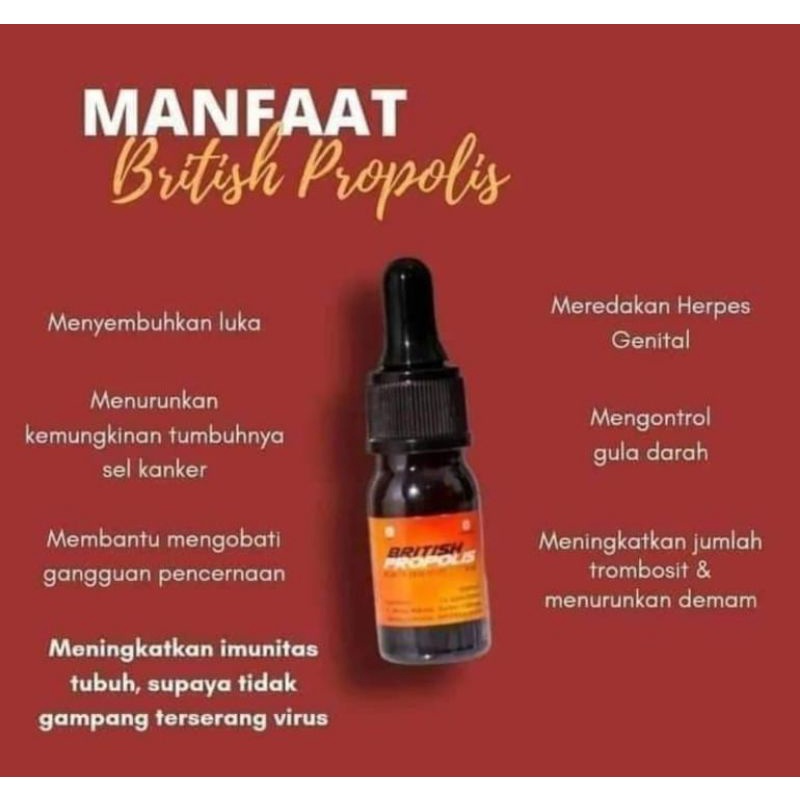 

BRITISH PTOPOLIS ORI IPPHO SANTOSA