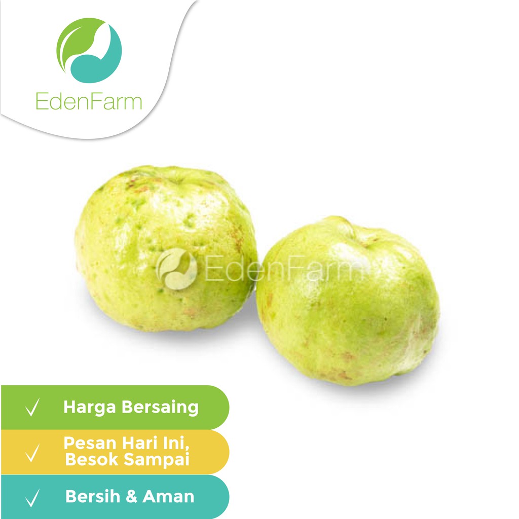 

Jambu Kristal Sunpride 500gr Eden Farm