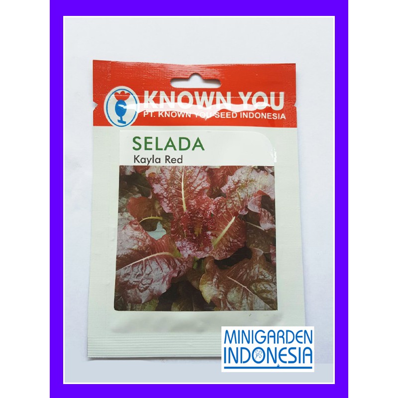 SELADA KAYLA RED 5 GRAM PACK KECIL Benih biji Selada Merah red lettuce Known You Seed bibit tanaman sayuran hidroponik