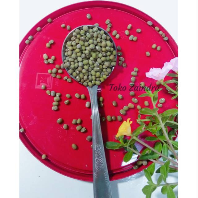 

Kacang Hijau / Kacang Ijo 100gr MPASI