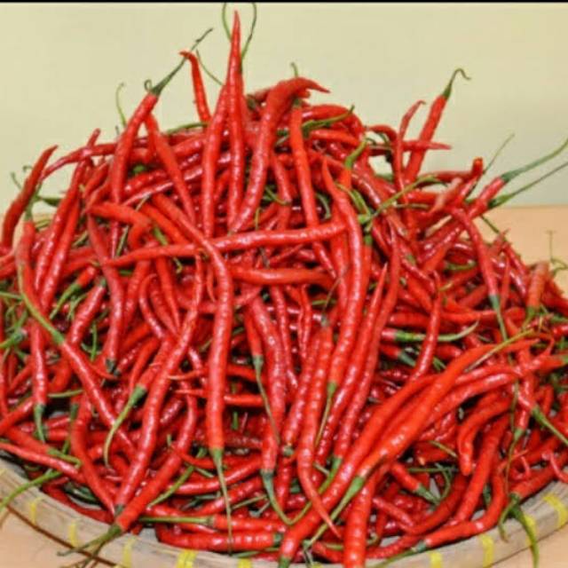 

Fresh Cabe merah kriting lokal (per 250gr)