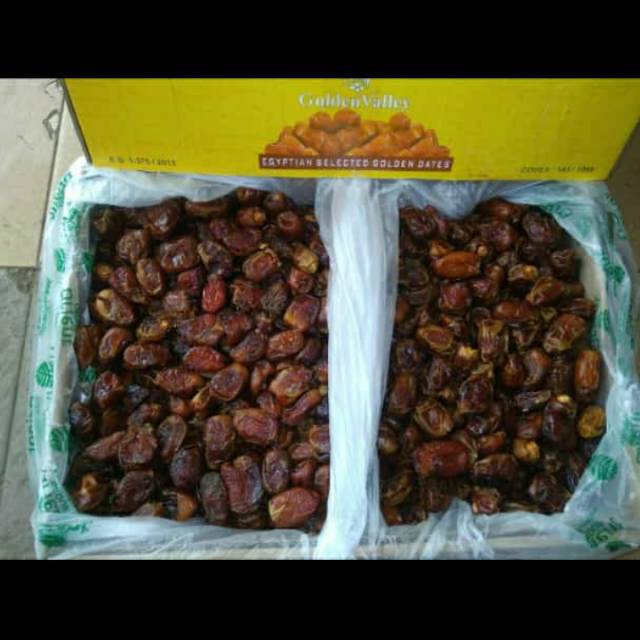 

Kurma golden valley