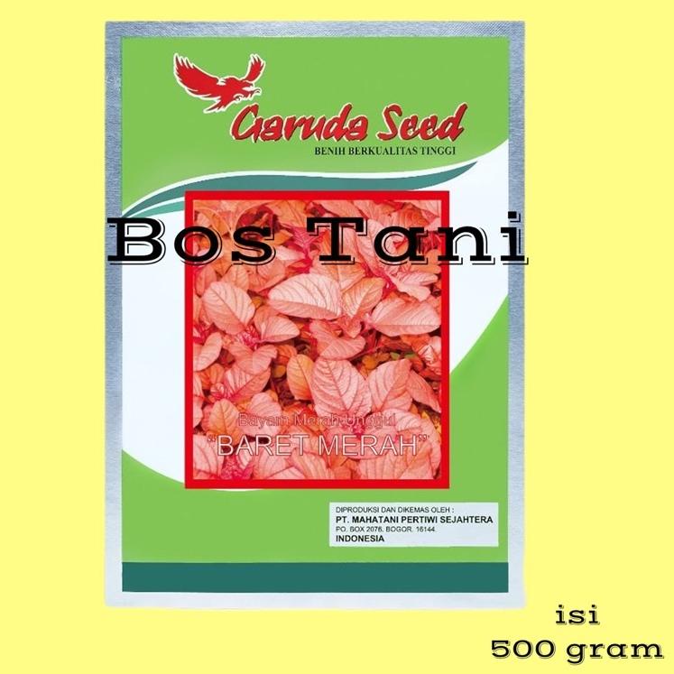 Harga Hemat Benih/Bibit Bayam Merah Baret Merah 500 gr | bibit bayam merah garuda seed