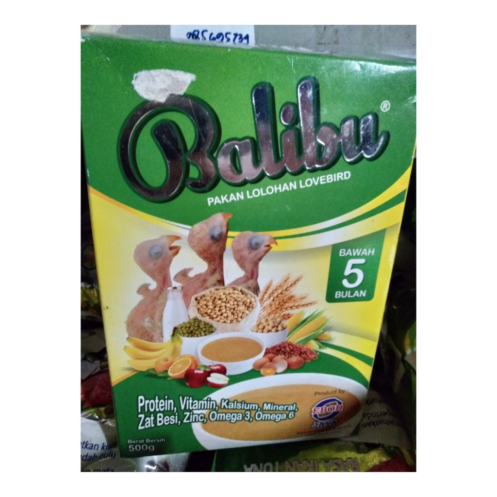 Balibu Pakan Lolohan Lovebird