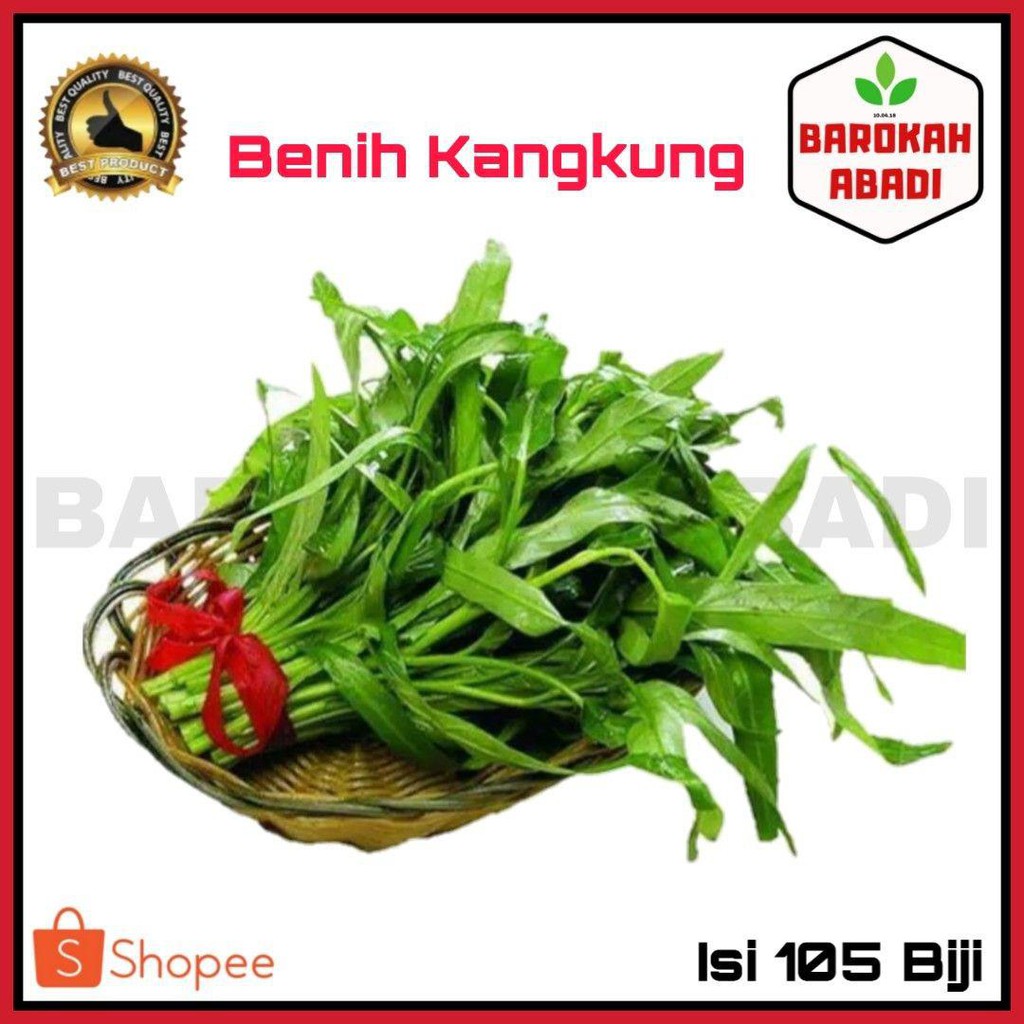 250 Benih Kangkung Hidroponik F1 Rajawali - Bibit Sayuran Seribuan - KANGKUNG LEBAR