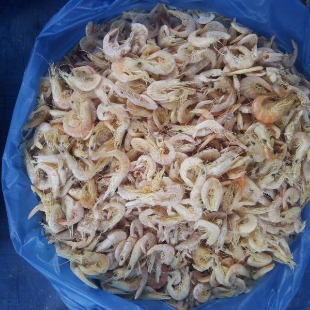 

Udang asin rebus per 1 kg gram