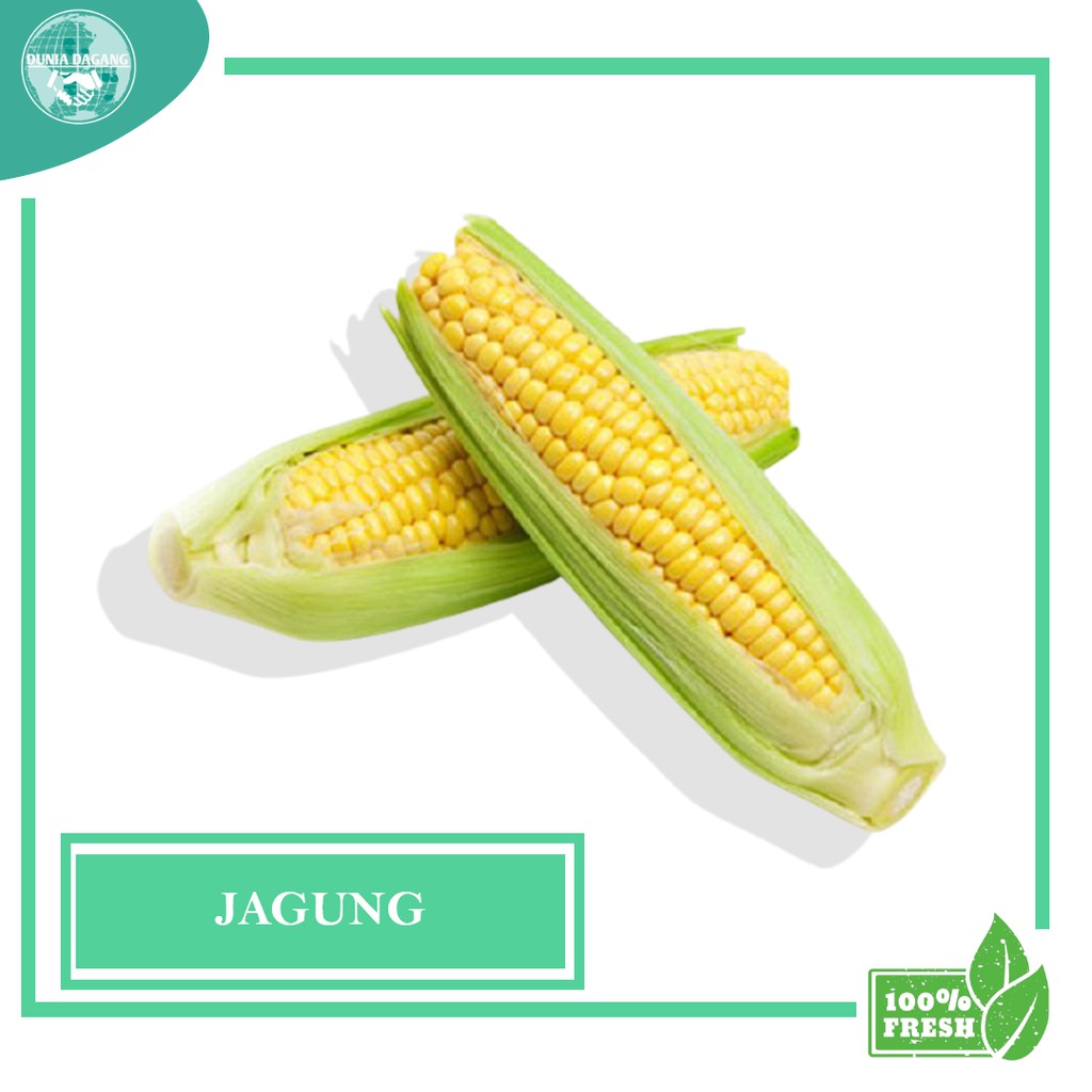 

DD - Sayuran Segar Sayur FRESH jagung murah