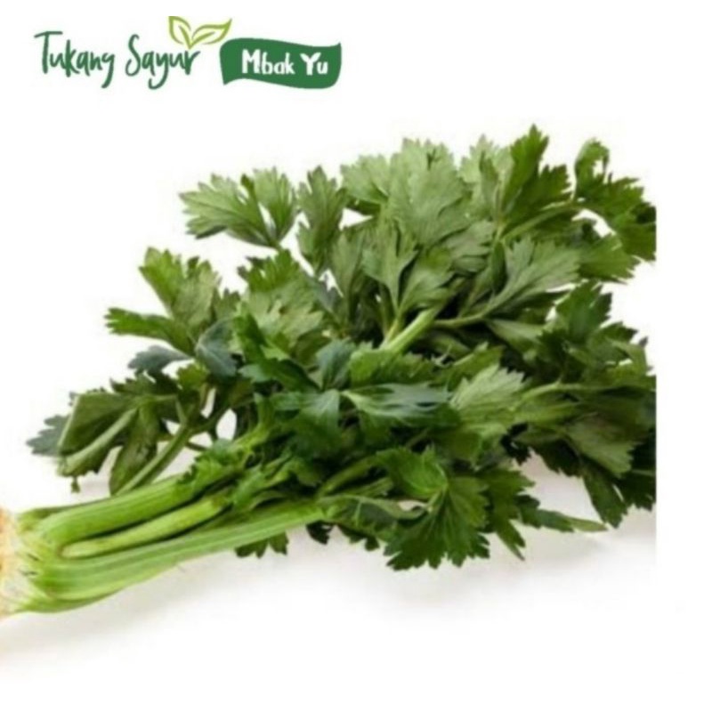 

Daun seledri 250gr