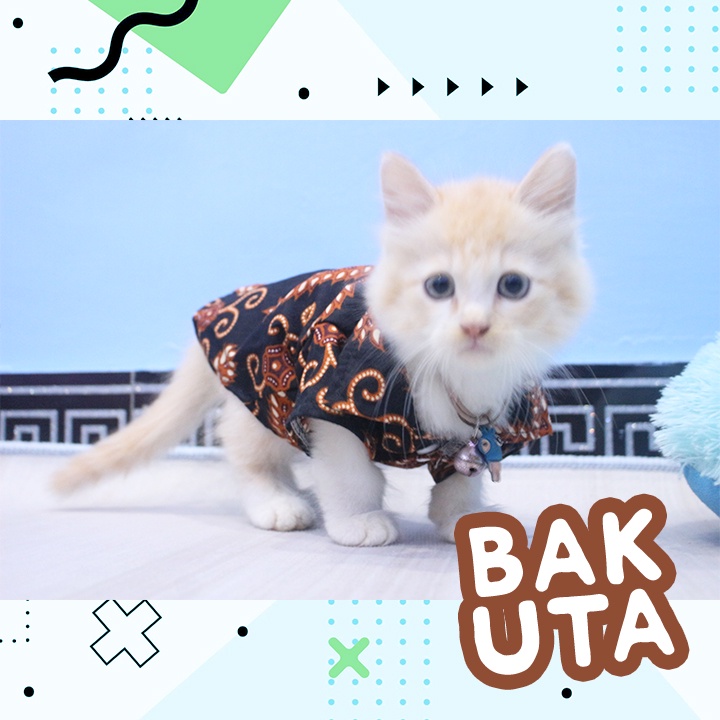 Baju kemeja lucu untuk kucing motif batik No #132 / Baju Kucing tangerang murah / baju kucing lucu size S-XL